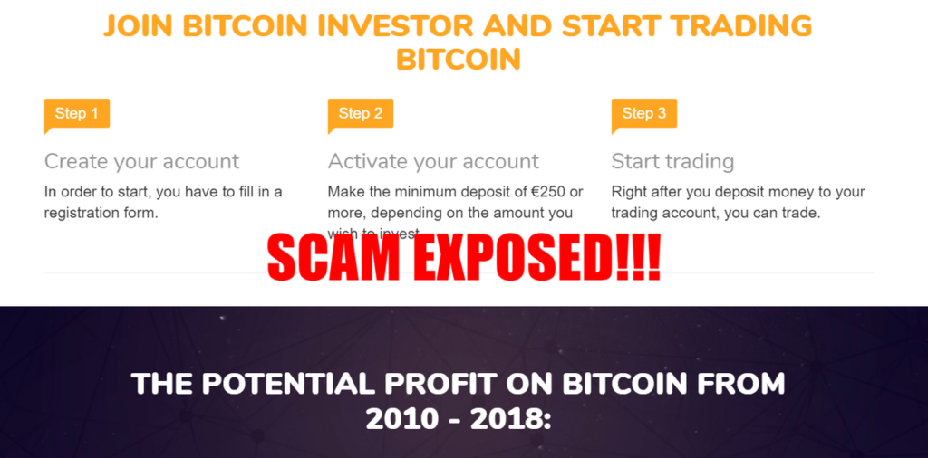 bitcoin investor